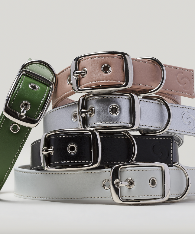 Classic black vegan apple leather dog collar