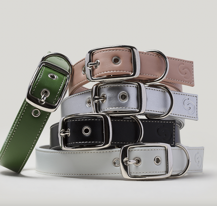 Ice blue vegan apple leather dog collar-2