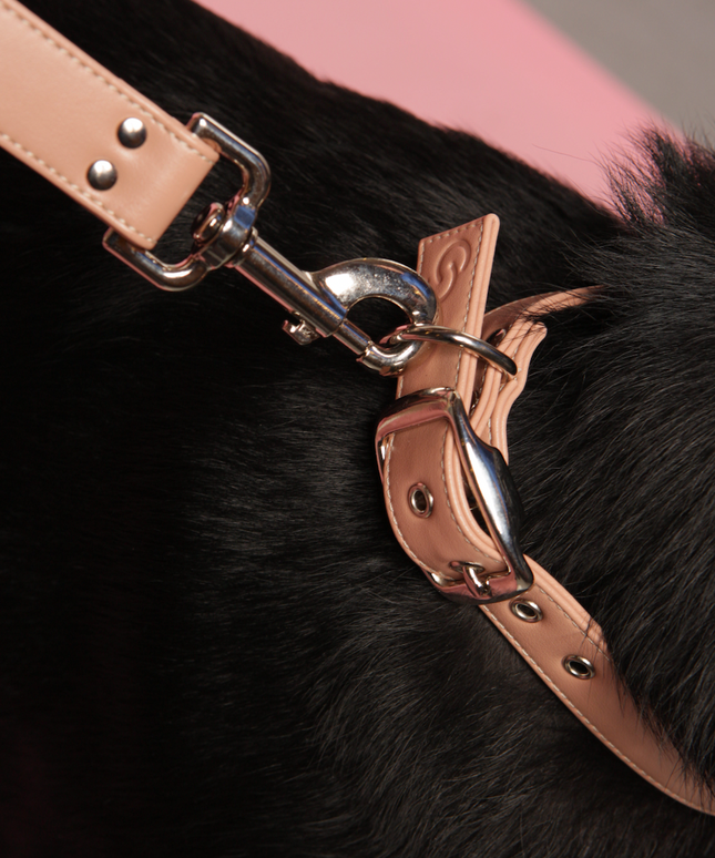 Blush pink vegan apple leather dog collar-4