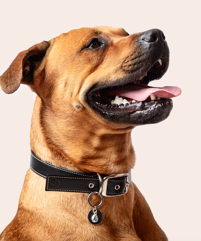 Sterling silver birthstone collar charm-2