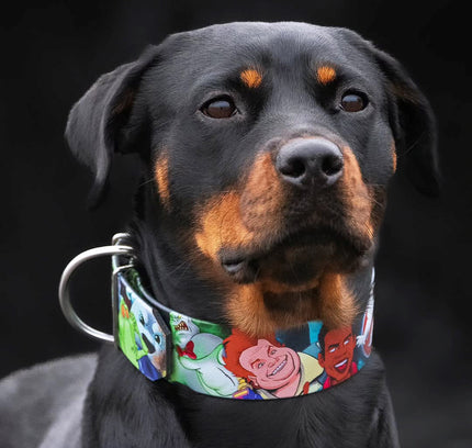 The “Ghosts” collar -LIMITED-4