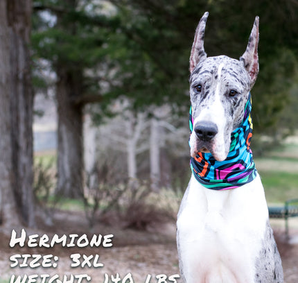 Zoomies Pup Scruff-4