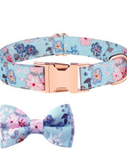 Blue Bottom Bell Orchid