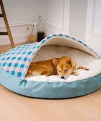 Blue And White Plaid