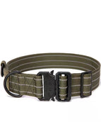 Light military color