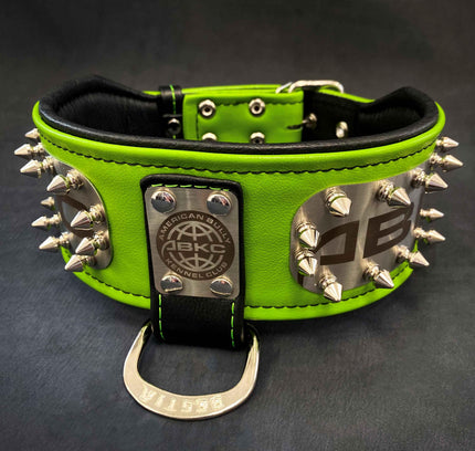 The ABKC Collar-4
