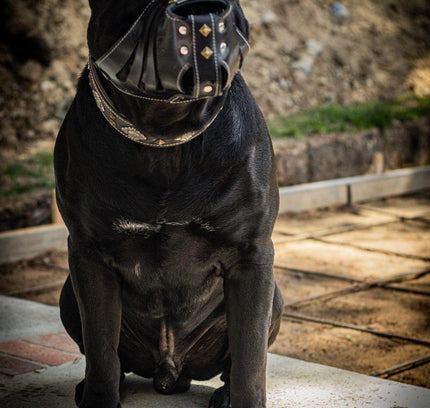 'Aztec'' Basket Muzzle Black-2
