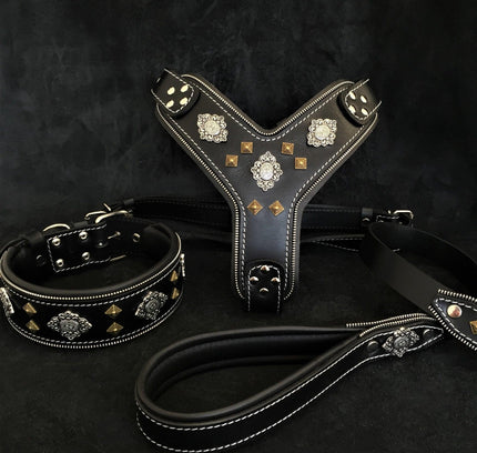"AZTEC" BIG dog SET - Harness - collar - lead. Black-0