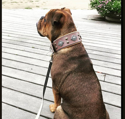 "Aztec" grey dog collar-1