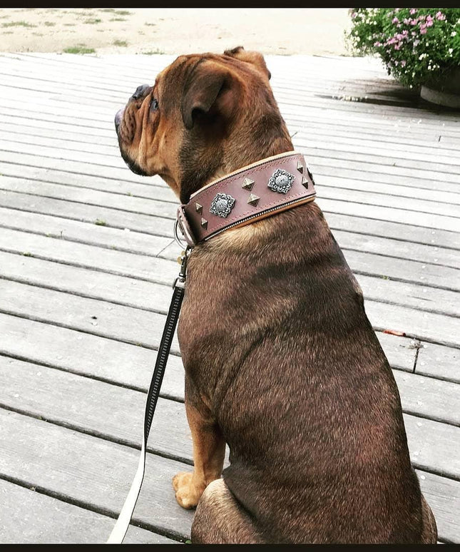 "Aztec" grey dog collar-1