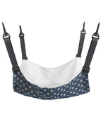 Blue Star Autumn And Winter