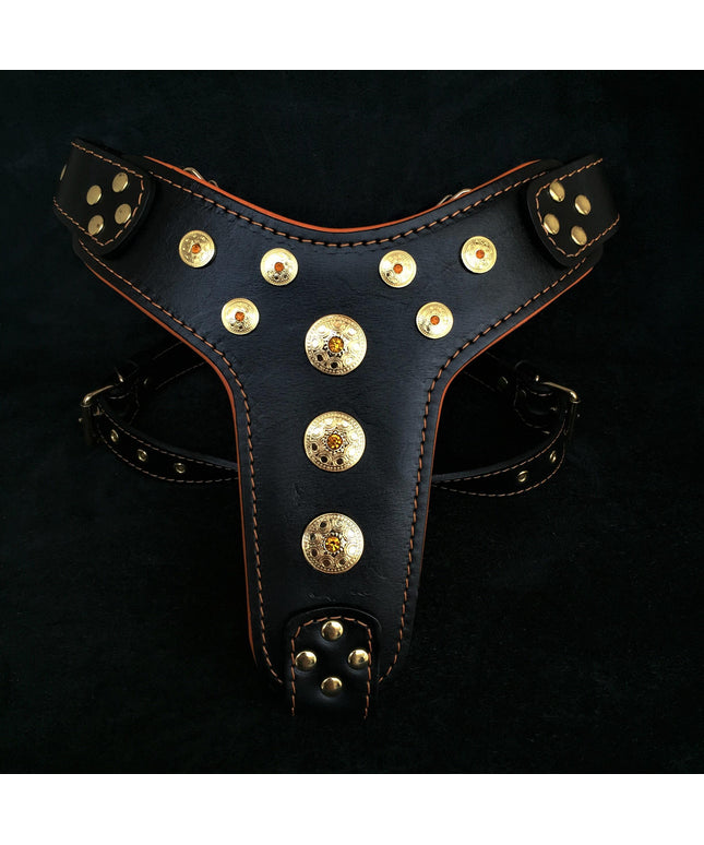 'Bijou'' harness Black & Orange for big dogs
