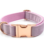 Purple Buckle Collar