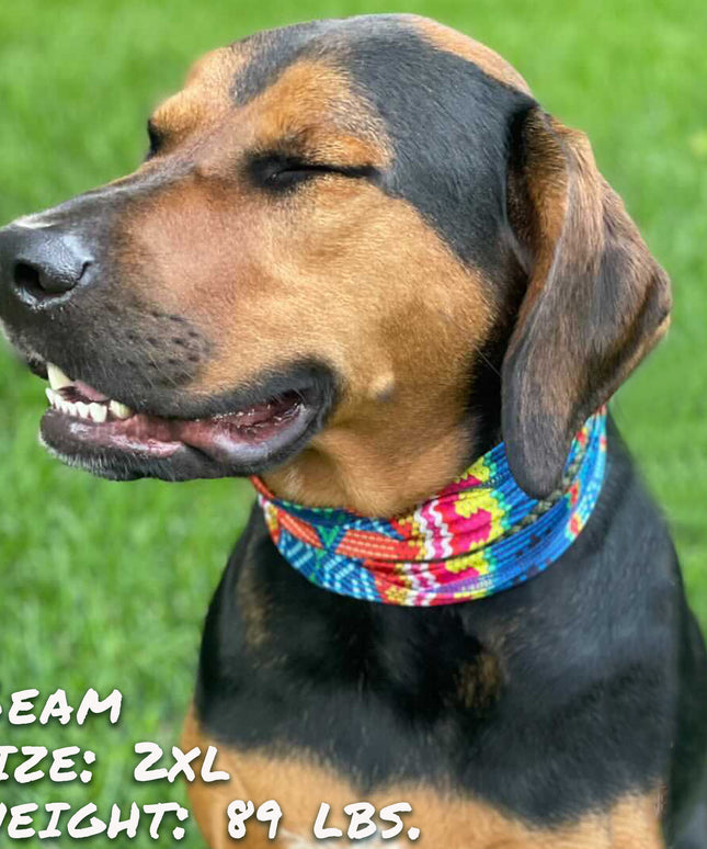 Bedouin Paws Pup Scruff-2