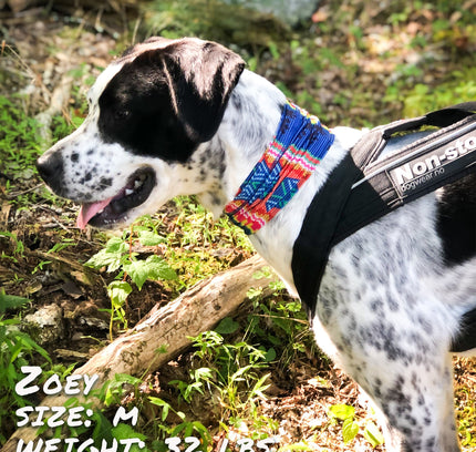 Bedouin Paws Pup Scruff-0