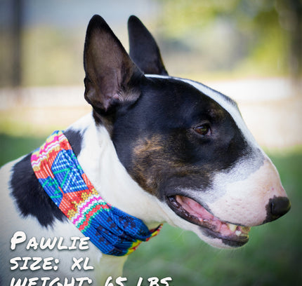 Bedouin Paws Pup Scruff-3