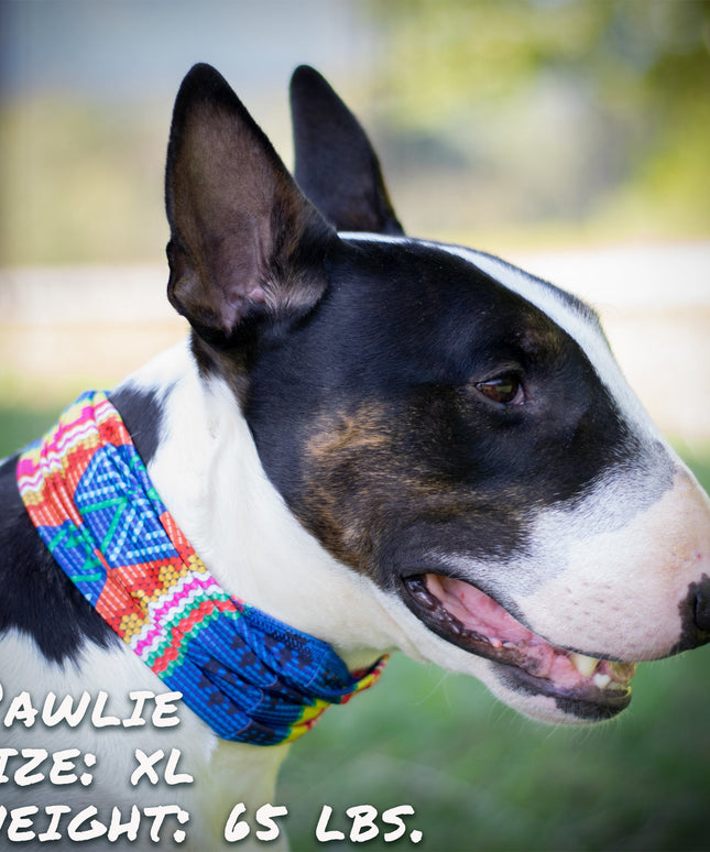 Bedouin Paws Pup Scruff-3