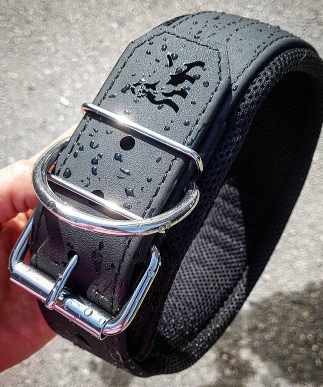 BESTIA DOG SPORT COLLAR-3