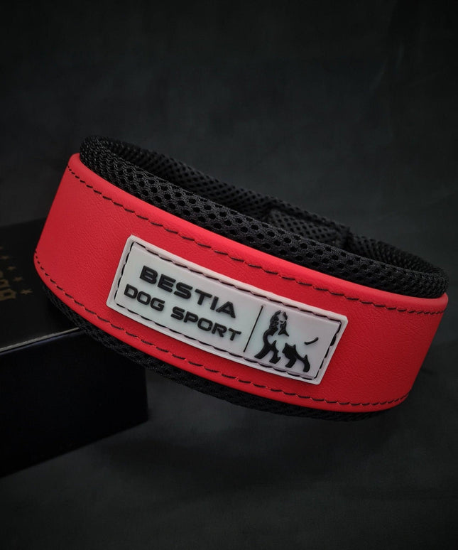 BESTIA DOG SPORT COLLAR RED-1