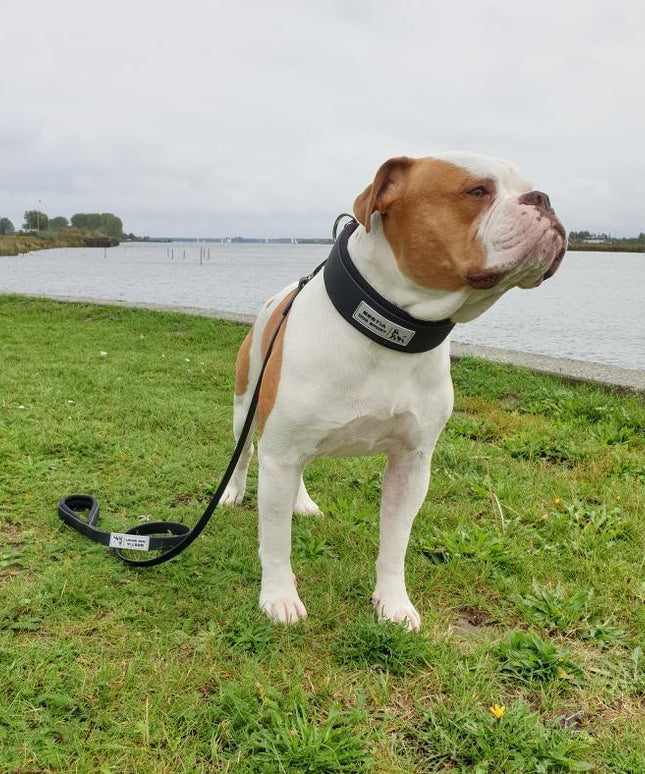 BESTIA DOG SPORT TACTICAL LEASH-4