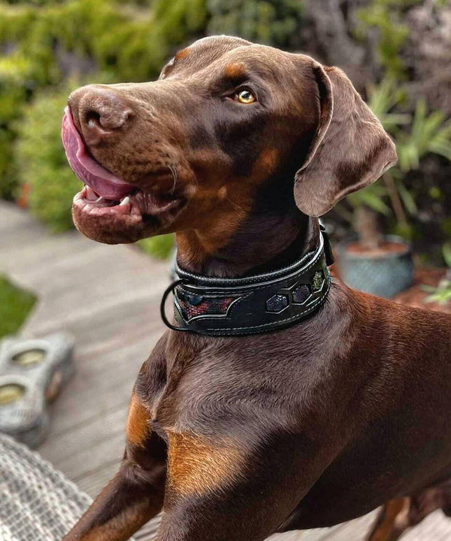 BATDOG collar-2
