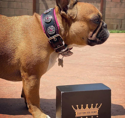 "Bijou" collar black & pink-1