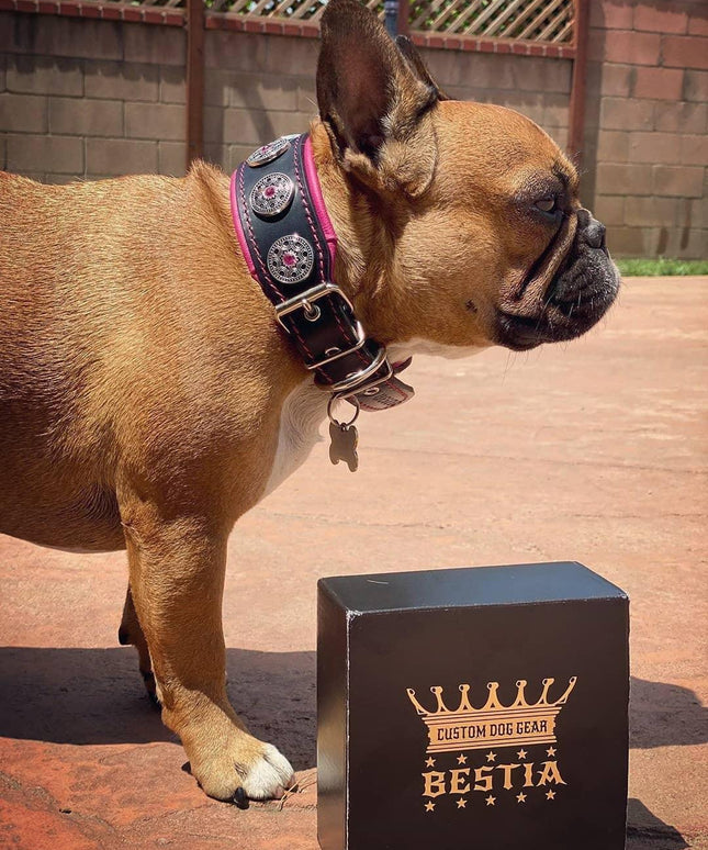 "Bijou" collar black & pink-1