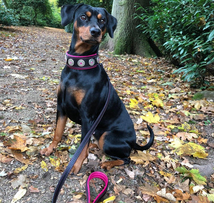 "Bijou" collar black & pink-3