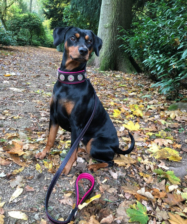 "Bijou" collar black & pink-3