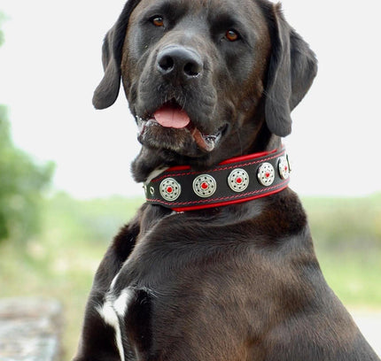 "Bijou" collar black & red-1