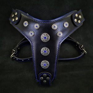 'Bijou'' harness Black & Blue for big dogs