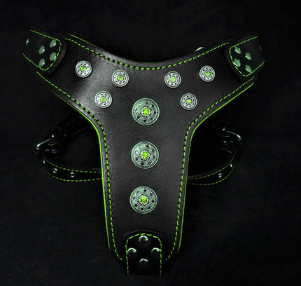 'Bijou'' harness Black & Green for big dogs-0
