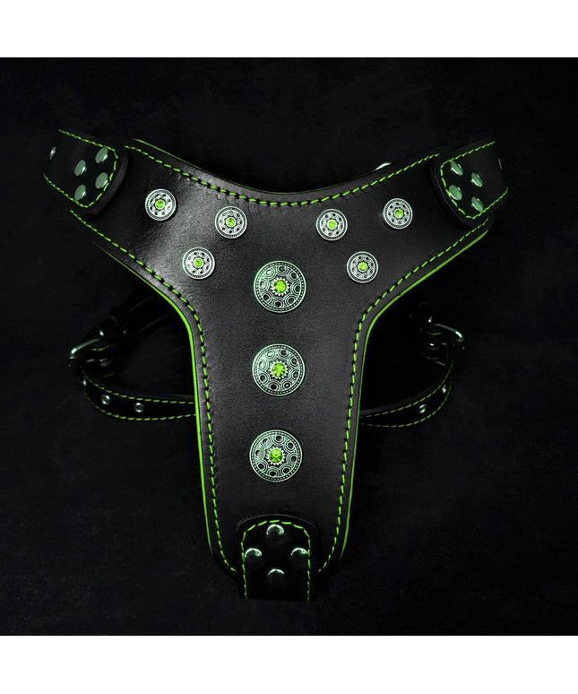 'Bijou'' harness Black & Green for big dogs-0