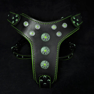 'Bijou'' harness Black & Green for big dogs