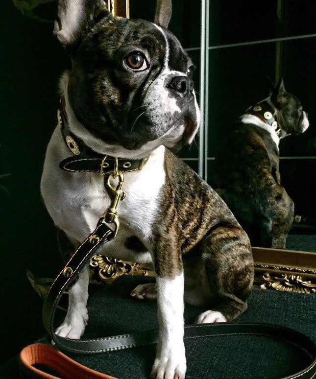 'Bijou'' leather lead orange-1