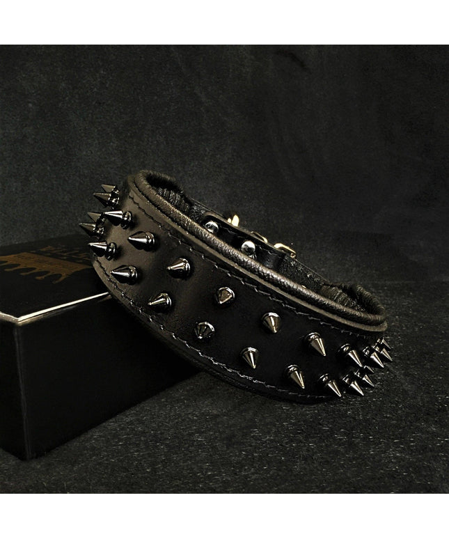 BLACK "Frenchie" collar-0