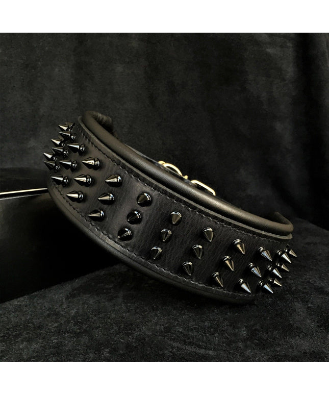 'Black Giant'' collar-0