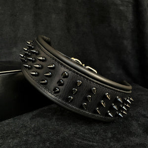 'Black Giant'' collar