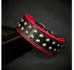 S - fitting a neck of 35 - 42,5 cm (13.8 - 16.7 inch) / Red / Collar only