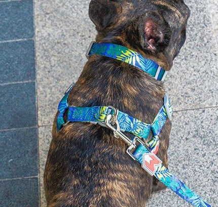 Cat Dog Collar Harness Leash Adjustable Nylon Pet Traction Cat Dog Collar Adjustable Quick Release Pet Harness Belt-0