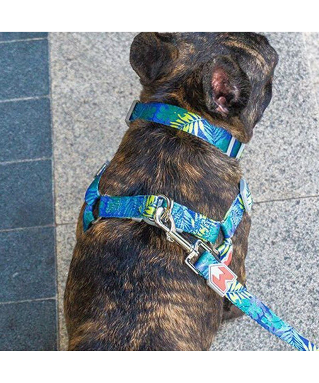 Cat Dog Collar Harness Leash Adjustable Nylon Pet Traction Cat Dog Collar Adjustable Quick Release Pet Harness Belt-0