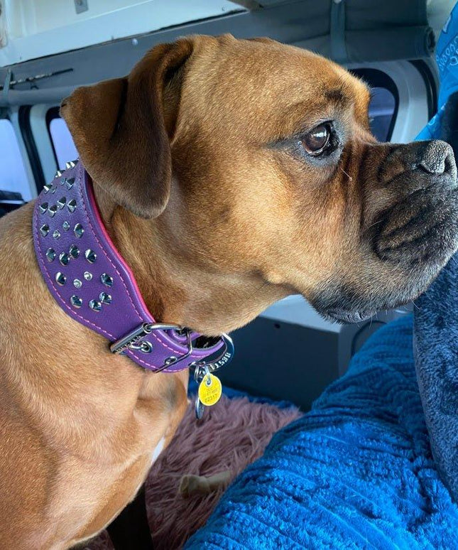 "Crystal" 2.8 inch wide soft leather collar-3