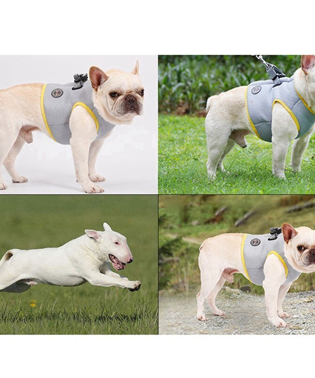 Dog Harness and Leash Set for Chihuahua Pug Small Medium Puppy Cat Harnesses Vest Cooling Walking Lead Harness-1