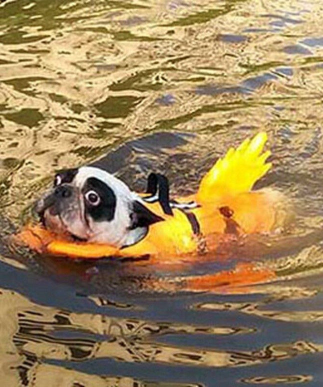 Dog Life Vest Summer Shark Pet Life Jacket Dog Clothes Dogs Swimwear Pets Swimming Suit New-1