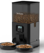 6L Black Transparent Double Me