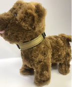 Dark Khaki Cloth Color