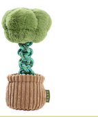 Brocoli Green Coffee