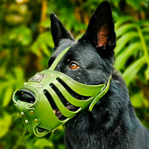'Eros'' Basket Muzzle GREEN-1