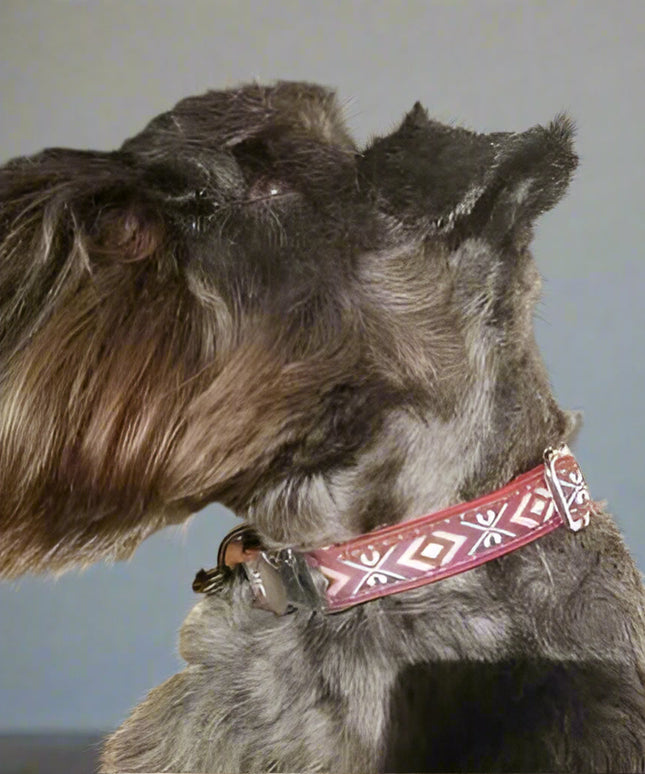 Engraved Charm Cotton Dog Collar by No.29s-1