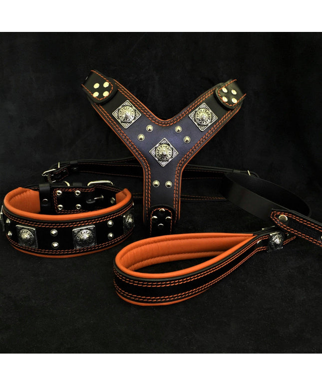 "EROS" BIG dog SET- Harness - collar - lead. Black & Orange-0